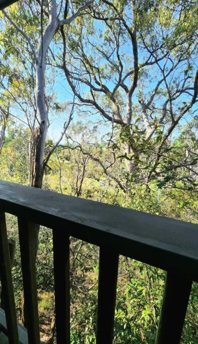 The Black Cockatoo - Secret Garden Treetops Home Katoomba Zewnętrze zdjęcie